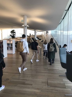 IMG 3842
