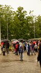 DSC09864