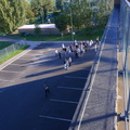 DSCF9368