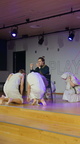 DSC07224