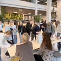 IMG 6233