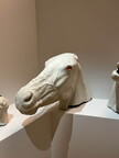 IMG 6957