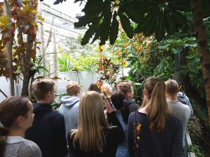 8. klass botaanikaaias