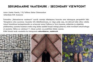 sekunaarne_vaatenurk