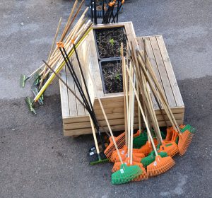 Mustamäe heakorrapäev