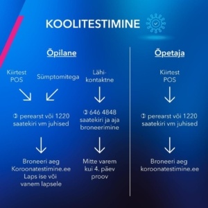 koolitestimine