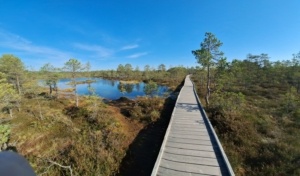 õpilasvahetus