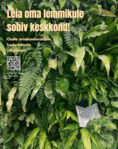 luulevideote võistlus