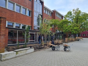 erasmus+